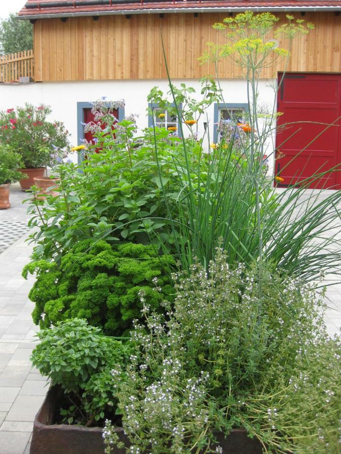 Hossies Hof - Luxus Ferienwohnung Alter Stall Bertsdorf Eksteriør bilde